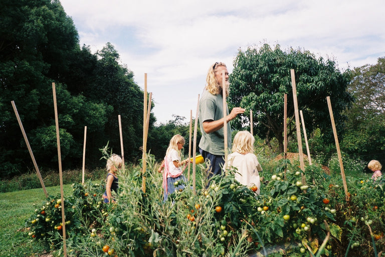 Carter’s Cookbook 3 with kids (pre order shipping early 2026)