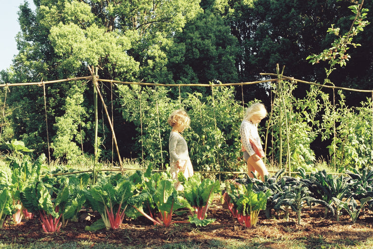 Carter’s Cookbook 3 with kids (pre order shipping early 2026)